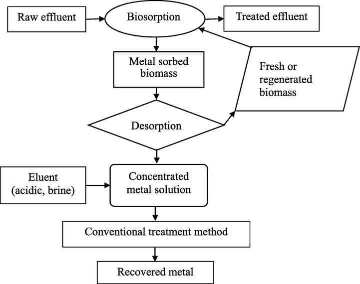 Schematic diagram of biosorption (Chojnacka, 2010).