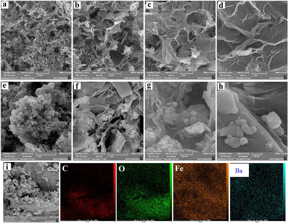 (a–d) images of graphene oxide aerogel (GA) with different magnifications, (e–h) images of graphene oxide aerogel/ barium ferrite nanoparticles composite (3GO/2BF) as well as arrangement of nanoparticles onto the GO planes with different magnifications, (i) SEM and EDS mapping of GO/ barium ferrite aerogel.