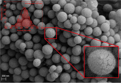 SEM image and particle size distribution of NPCS support.