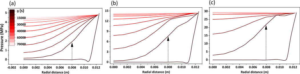 Pressure in the core along the radial distance with time (323 K). The initial pressures for (a), (b), and (c) are 5 MPa, 15 MPa, and 30 MPa, respectively.