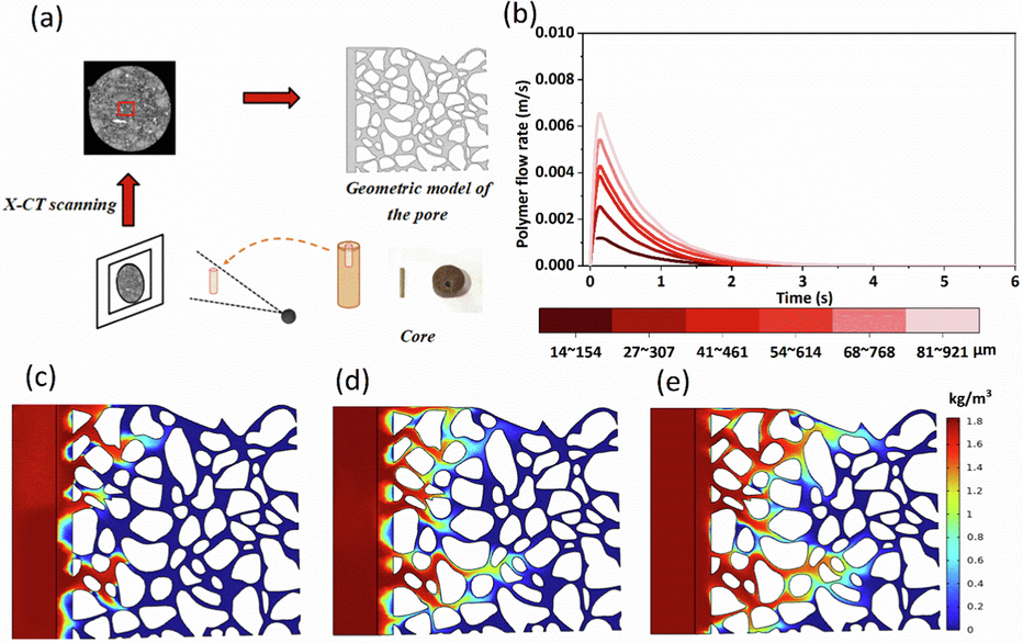 CO2 diffusion characteristics in saturated solution with different pore sizes. (a) is the pore geometry model; (b) is the polymer flow rate for different pore sizes; (c), (d), (e) are the CO2 mass concentration distributions corresponding to 14–154 μm, 41–461 μm, and 91–921 μm pore sizes, respectively.