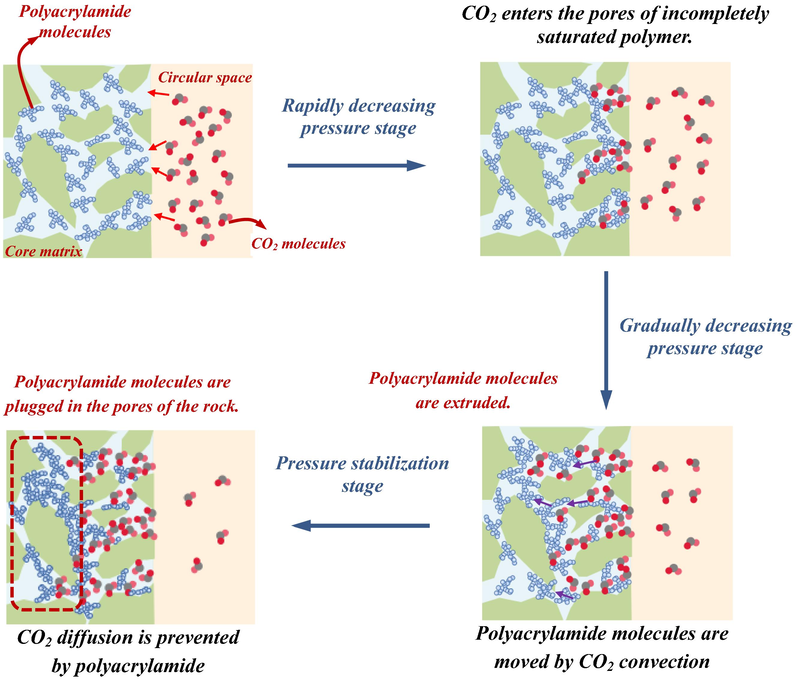 Diffusion process of CO2 in saturated polyacrylamide solution cores.