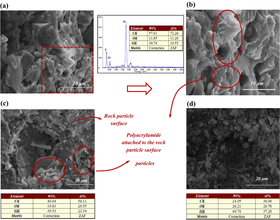 Microscopic features of different areas on the core slice. (a) is a SEM image of core area A, (b) is an enlargement of (a), (c) and (d) correspond to area B and C, respectively. Note: The data in the table are the average values of the elements at different positions in the SEM images.