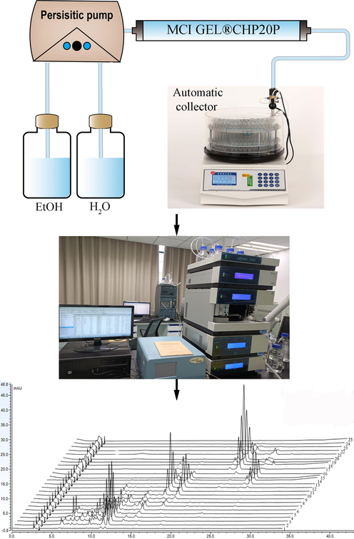 Schematic diagram of the offline 2D LPLC/HPLC system.