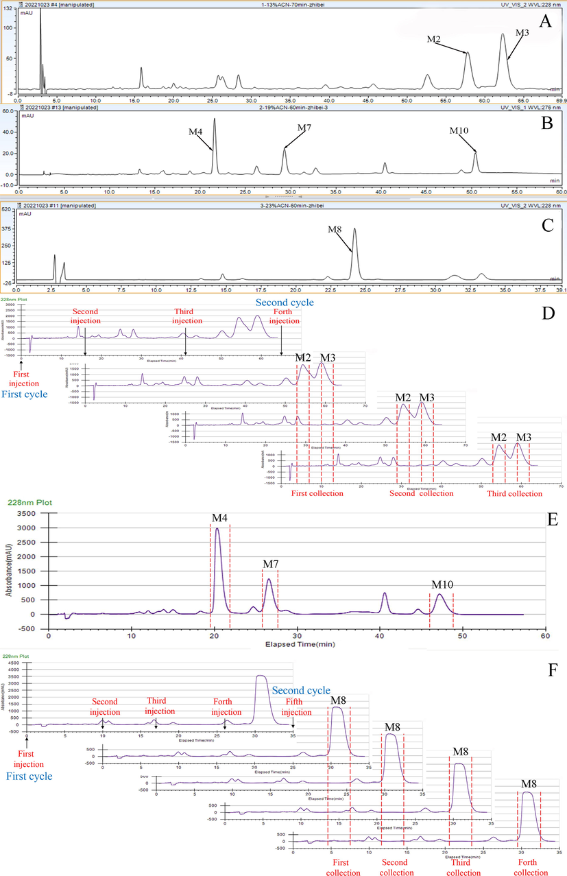 Analytical chromatograms of fractions I (A), II (B), and III (C) on a YMC-Pack ODS-A C18 analytical column and preparative chromatograms of fractions I (D), II (E), and III (F) on a YMC-Pack ODS-A C18 preparative column.