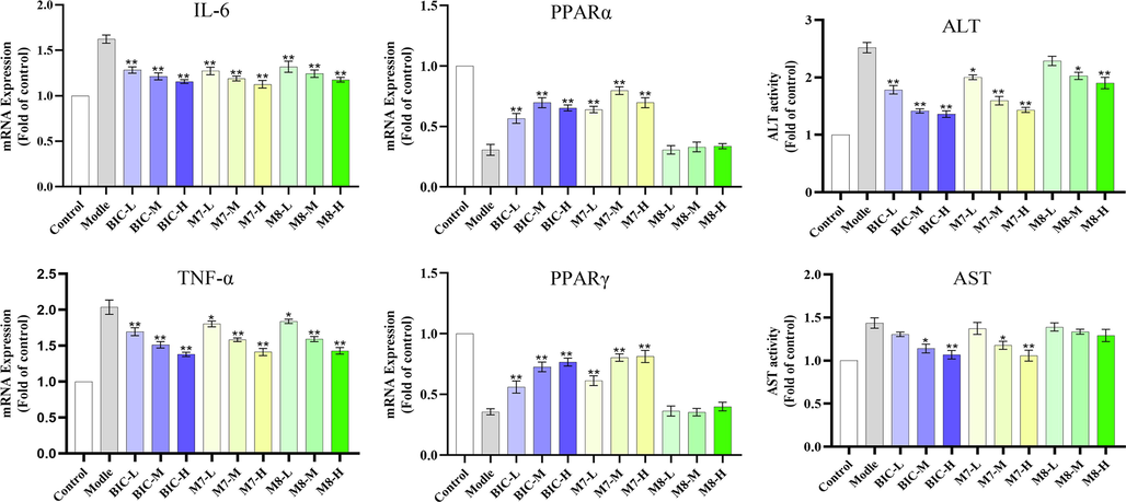 Effects of BIC, M7, and M8 metabolites on the expression levels of liver injury-related genes in zebrafish and the activities of ALT and AST (n = 30). * p < 0.05 vs model group; ** p < 0.01 vs model group.