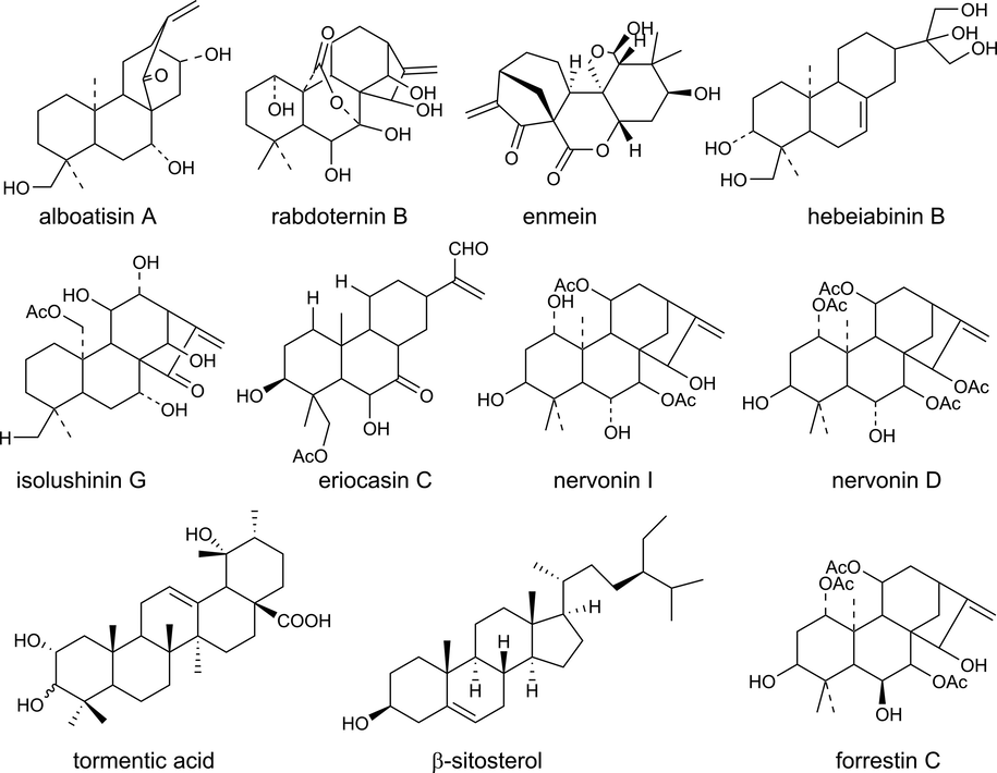 Chemical structural of the hypoglycemic ingredients.