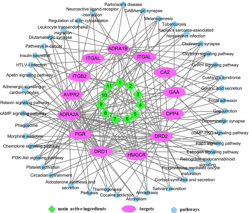 The ingredient-target-pathway network of Isodon Japonicus on diabetes (ingredients No. 1–11 listed in Table 1).