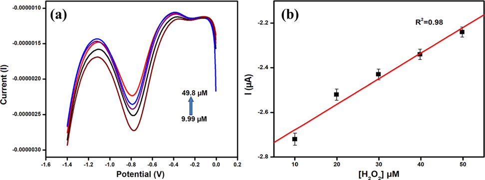 (a) DPV curves of N-CDs/GCE in the presence of different concentrations of hydrogen peroxide (b) Plot of hydrogen peroxide reduction peak current Vs the concentration of hydrogen peroxide.