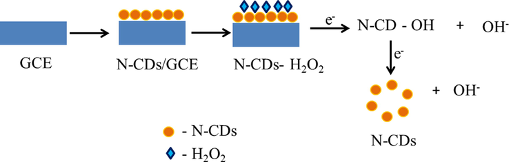 Schematic representation of the mechanism of electrochemical reduction of hydrogen peroxide with N-CDs/GCE.