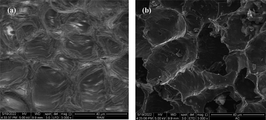 SEM images of (a) precursor (b) TCAC (3000x magnificent level).