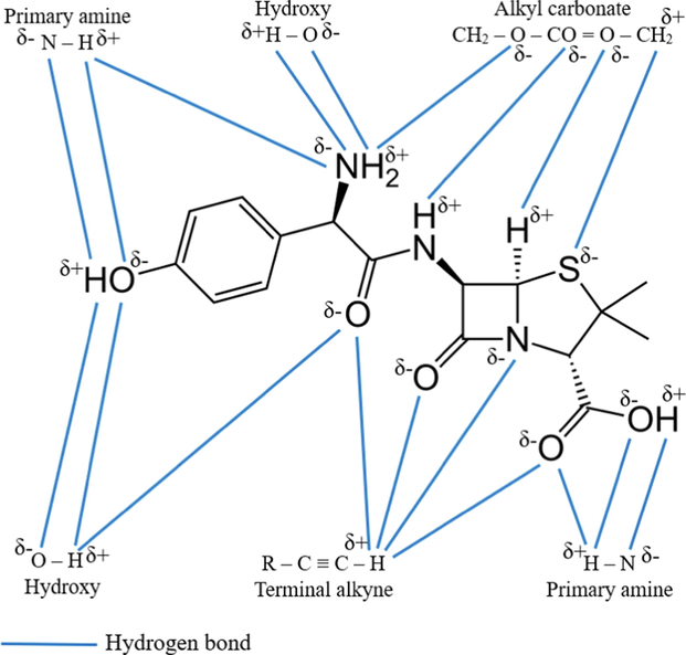 Possible mechanism attraction between functional groups and AMOX molecules.