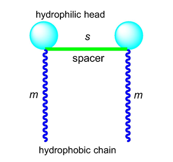 Structure diagram of Gemini surfactant represented by m-s-m.