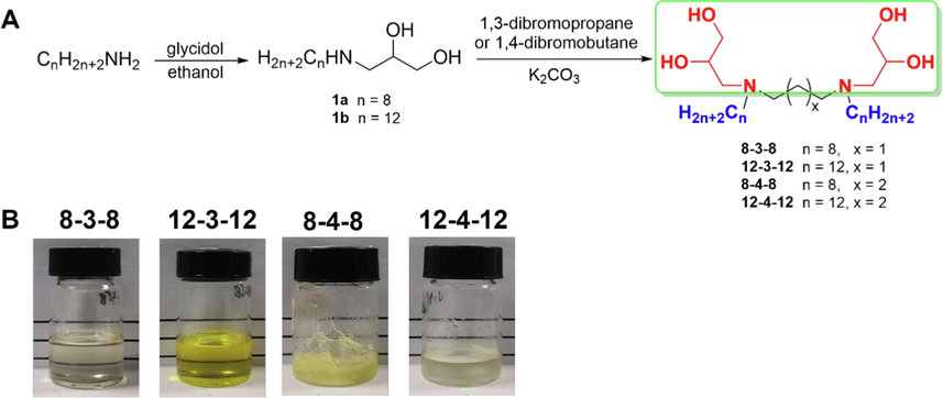 Synthetic route for the nonionic 1-alkylaminoglycerol Gemini surfactants (A) and appearance of Gemini surfactants (B).