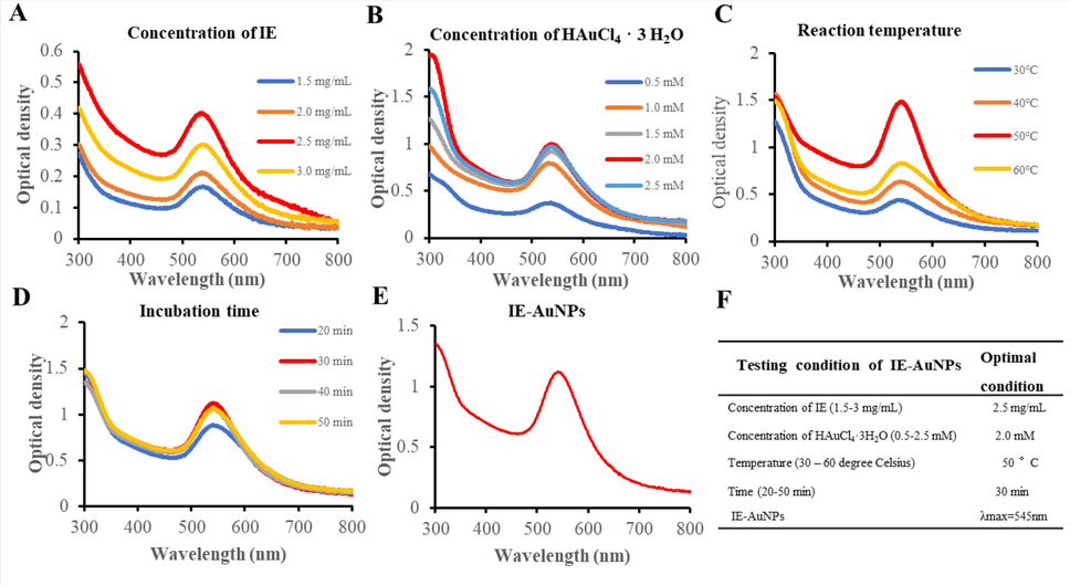 The optimization of the synthesis of IE-AuNPs using UV–Vis spectroscopy. (A) IE concentrations ranging 1.5–3 mg/mL, (B) shows Au salt concentrations ranging 0.5–2.5 mM. (C) demonstrates the impact of temperature fluctuations (30–60 °C), and (D) represents the effect of the incubation period (20–50 min). The UV absorbance of the optimized IE-AuNPs at 545 nm is shown in (E), and (F) presents the optimal conditions for the synthesis of IE-AuNPs.