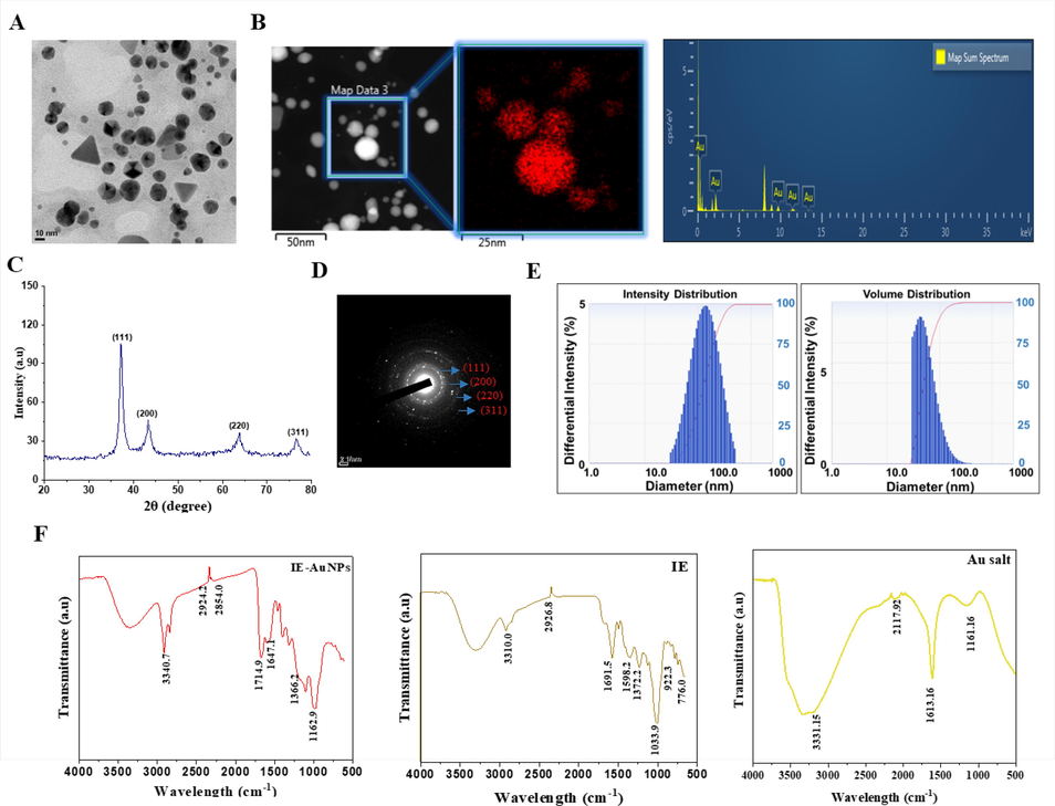 Physiochemical characterization of IE-AuNPs. (A) Morphological properties of IE-AuNPs were determined using transmission electron microscopy (TEM). (B) Energy-dispersive X-ray (EDX) spectroscopy confirmed the elemental composition of IE-AuNPs. (C) X-ray diffraction (XRD) spectroscopy was used for crystalline structure determination of IE-AuNPs. (D) Crystalline structure of IE-AuNPs was determined using the selected area electron diffraction (SAED) pattern from TEM. (E) Dynamic light scattering (DLS) spectroscopy provided intensity and volume distributions of IE-AuNPs. (F) Infrared absorption spectrum produced using Fourier-transform infrared (FT-IR) spectroscopy for confirmation of chemical linkage confirmation in IE-AuNPs.