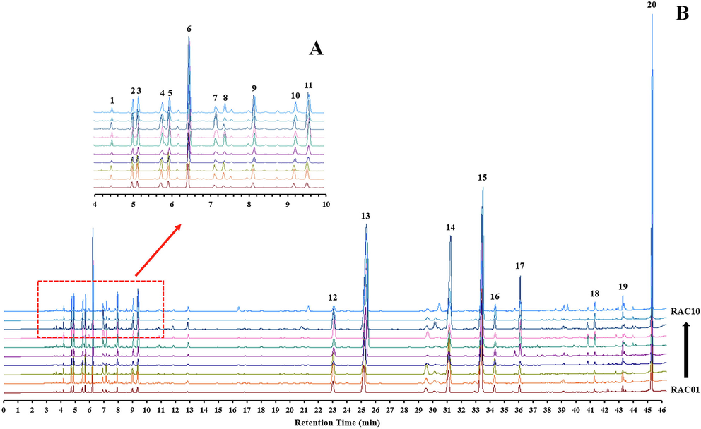 GC chromatographic fingerprint of 10 batches of the rhizome of Atractylodes chinensis (RAC). (A) Local magnification of retention time of 4–10 min in GC fingerprint, a total of 9 common peaks in this interval. (B) The GC global fingerprint, a total of 9 common peaks were labeled in retention time intervals of 24 to 46 min. Detailed information on the common compounds is shown in Table 2.