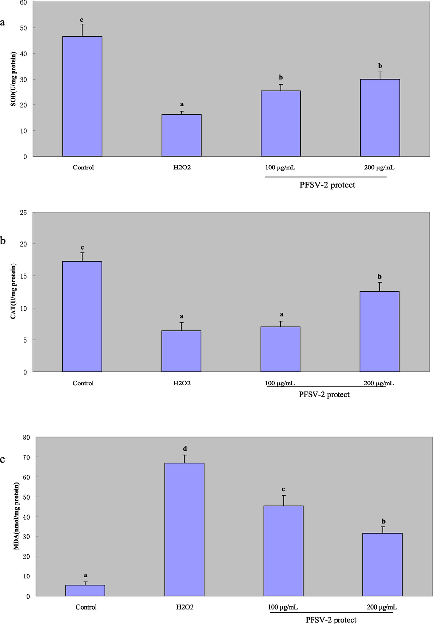 The protective effects of PFSV-2 against H2O2-induced damage in zebrafish. (a) SOD activity of each treated zebrafish; (b) CAT activity of each treated zebrafish; and (c) MDA content of each treated zebrafish. Bar indicates means ± SD. Bars without the same superscripts (a-d) denote significant difference (p < 0.05).