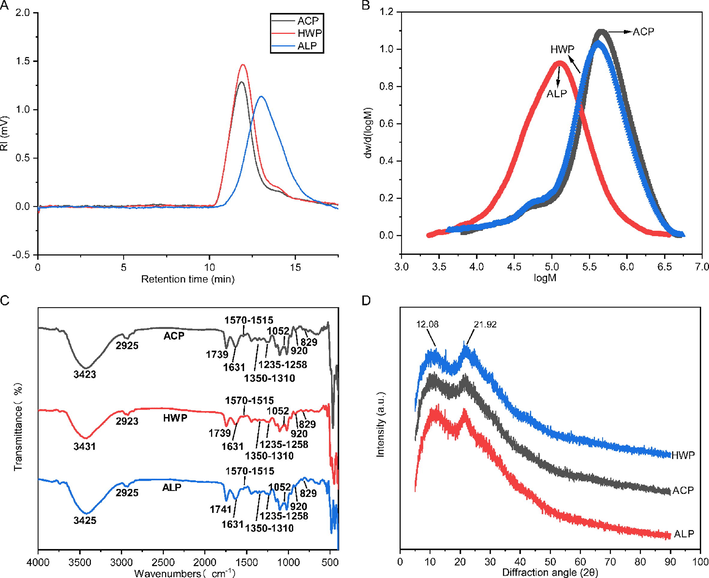 HPGPC chromatography (A), molecular weight distribution (B), FT-IR spectra, and XRD (D) analysis of ACP, HWP, and ALP.