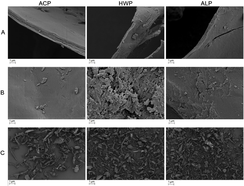 SEM images of under 20,000× (A, B) and 200× (C).