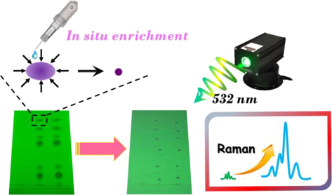 Sketch of in situ enrichment and Raman measurement of spots on TLC plates.