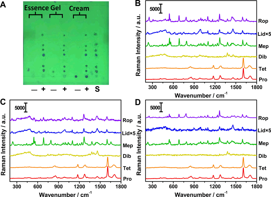 Image of TLC plate (A) and corresponding Raman responses of negative and spiked samples with essence (B), gel (C) and cream (D). The Raman intensity of lidocaine was multiplied by 5 times. “S” means “the mixed standard solution”. “+” and “-” represent positive and negative samples.