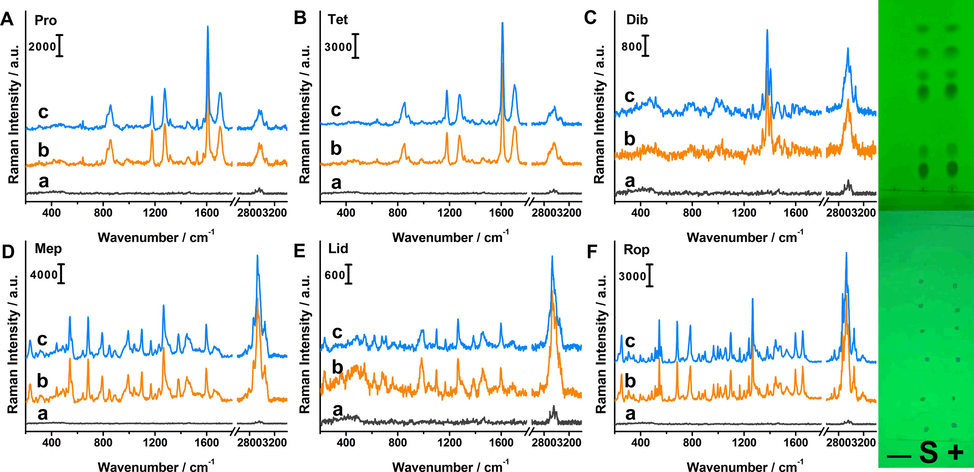 Raman spectra of Pro (A), Tet (B), Dib (C), Mep (D), Lid (E) and Rop (F) for negative rat serum sample (a), standard solution (b) and positive sample (c). The inset images were corresponding TLC plates before and after in situ enrichment. “S” means “the mixed standard solution”. “+” and “-” represent positive sample and rat serum blank sample.