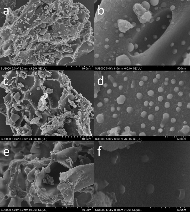 SEM images of (a,b) Cu3/NPC-550, (c,d) Cu2/NPC-550, and (e,f) Cu1/NPC-550.