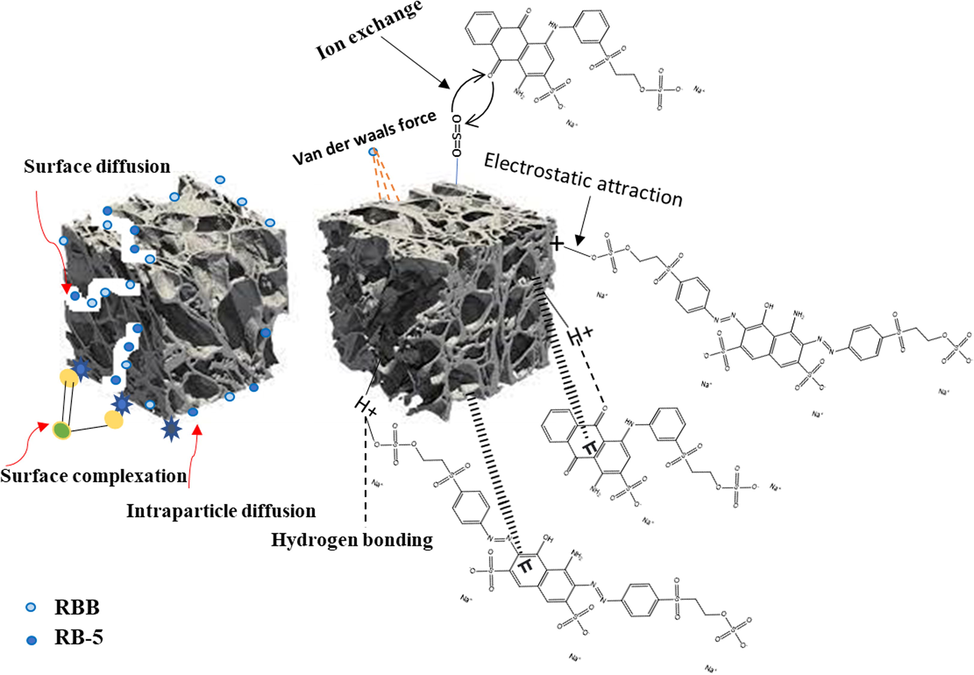 Removal mechanism of RBB and RB-5 by DRHB.