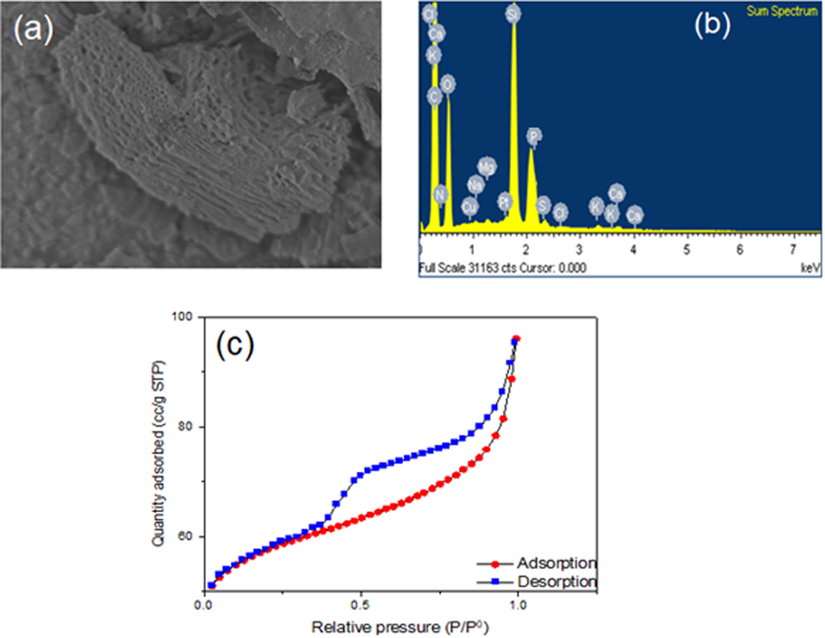 Electron Image and EDS spectra of DRHB (a, b) and nitrogen adsorption–desorption analysis of DRHB (c).