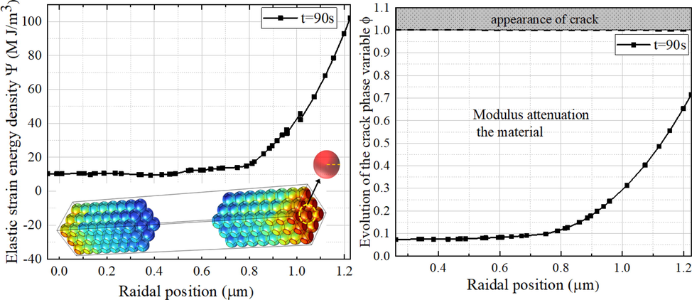 Distribution of phase field variables. (a) The distribution of elastic strain energy density in one particle; (b) The distribution of φ in one particle.