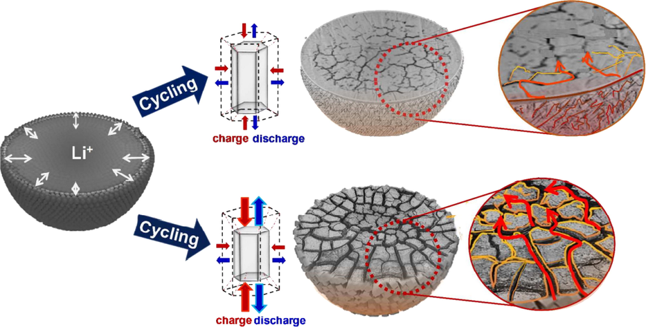 Internal crack distribution of electrode particle (Ryu et al., 2018).