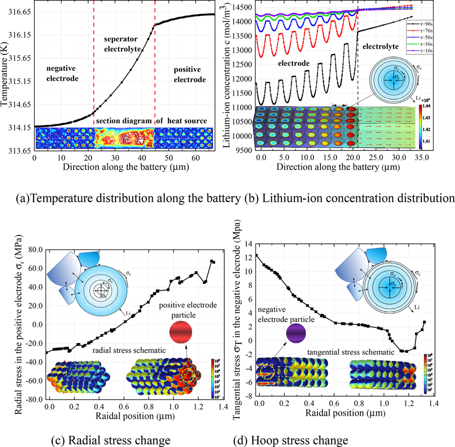 Thermal-concentration coupled stress diagram. (a) temperature distribution along the battery and cross-sectional view of heat source distribution; (b) lithium-ion concentration distribution in the negative electrode / electrolyte and ion flux map; (c) radial stress change in the positive electrode particle and the mechanics of the lithiation process; (d) hoop stress change in the negative electrode particle and the mechanics of the delithiation process.