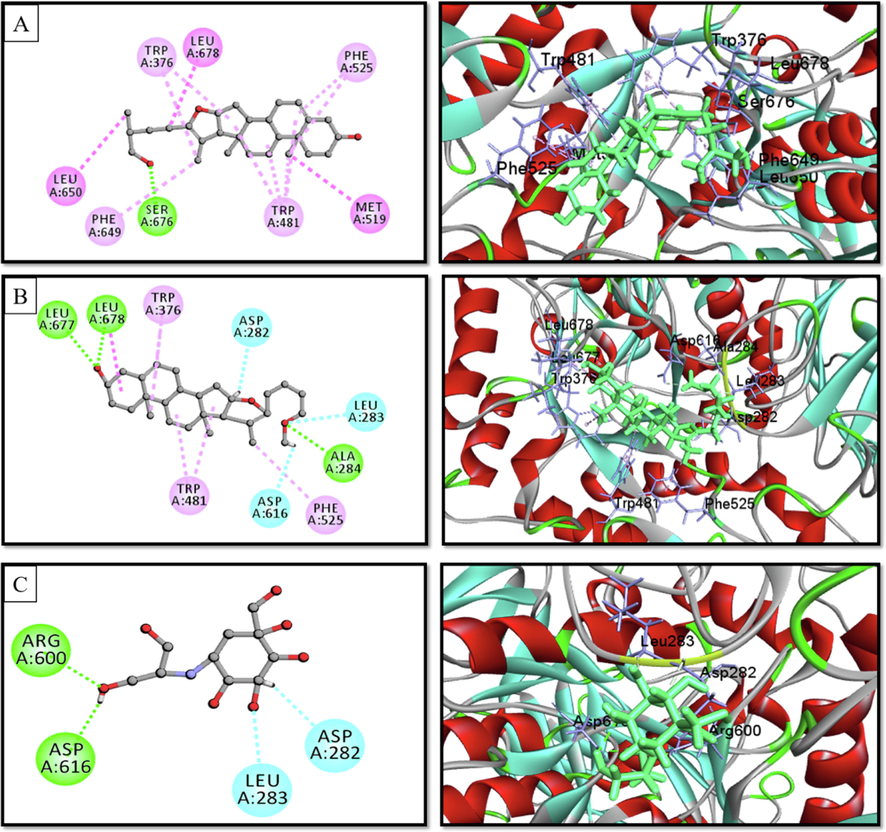 2D & 3D interactions of (A) Pseduosarsasapogenin-5,20-dien, (B) pseduosarsasapogenin-5,20-dien methyl ether, and (C) voglibose with human lysosomal α-glucosidase (PDB ID. 5NN8) (Pose predicted by AutoDock Vina).