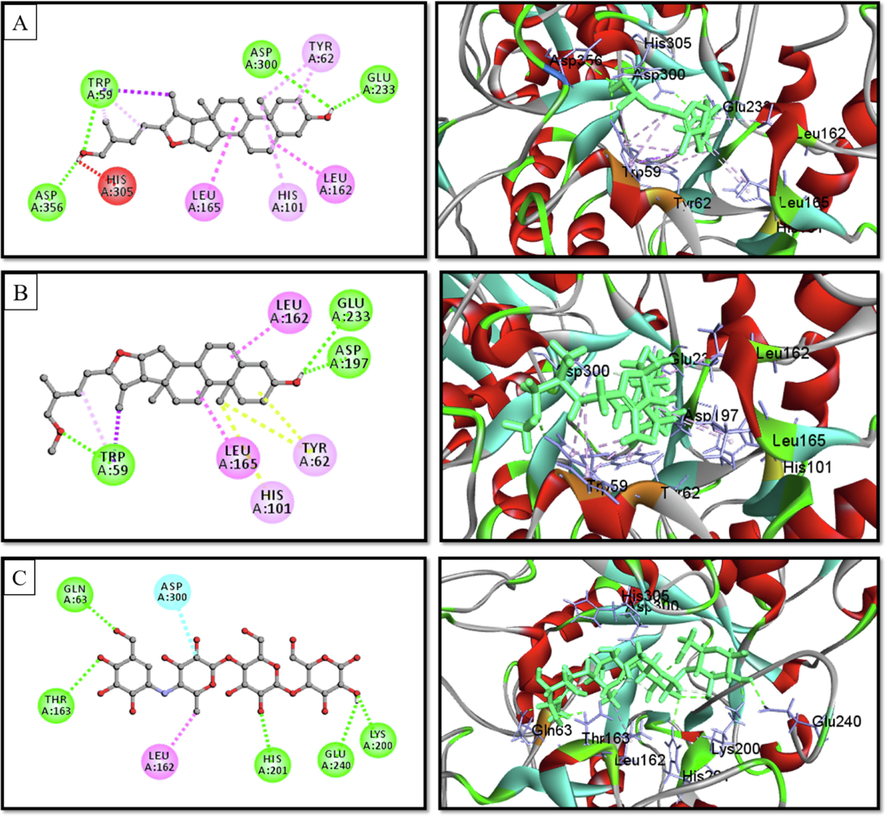 2D & 3D interactions of (A) Pseduosarsasapogenin-5,20-dien, (B) pseduosarsasapogenin-5,20-dien methyl ether, and (C) acarbose with α-amylase (PDB ID. 3BAJ) (Pose predicted by AutoDock Vina).