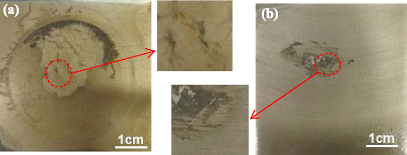 Surface morphologies of EP (a) and microcapsule (b) coatings after 1000 h immersion.