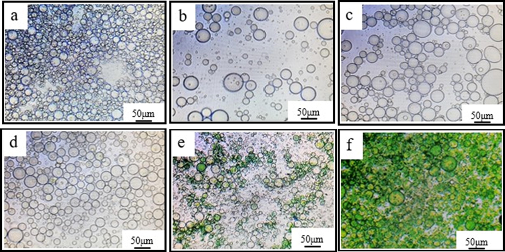 Monitoring PANI microcapsule formation by Optical Microscopy (OM) a-emulsification for 45 min, b-with addition of 10% acidified aniline, c-with addition of 10% APS for 1 h, d-after 30 min of residual aniline addition, e-after residual APS addition, f-completed reaction.