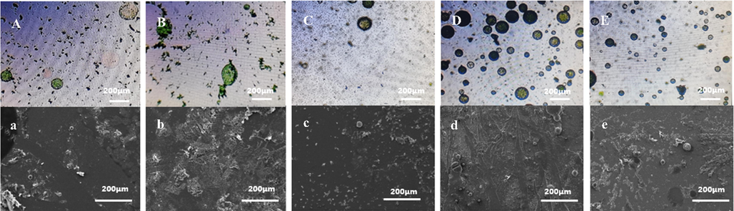 OM (top) and SEM (bottom) of synthesized microcapsules at different stirring rates A,a-200r/min; B,b-400r/min; C,c-500r/min; D,d-600r/min; E,e-700r/min.