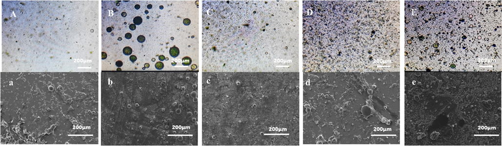 Comparison of OM and SEM under different oxidant dosages. A,a-3 g B,b-5 g C,c-7 g D,d-10 g E,e-60 g.