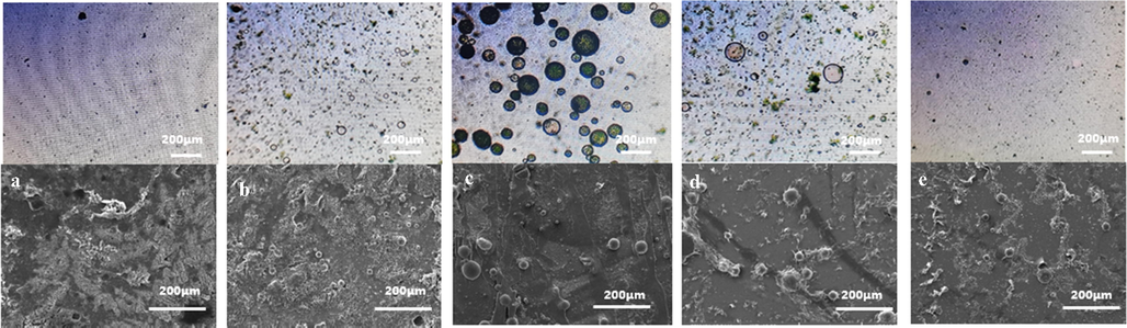 Comparison of OM and SEM under different oxidation polymerization times. A,a-1 h B,b-3 h C,c-4 h D,d-5 h E,e-7 h.