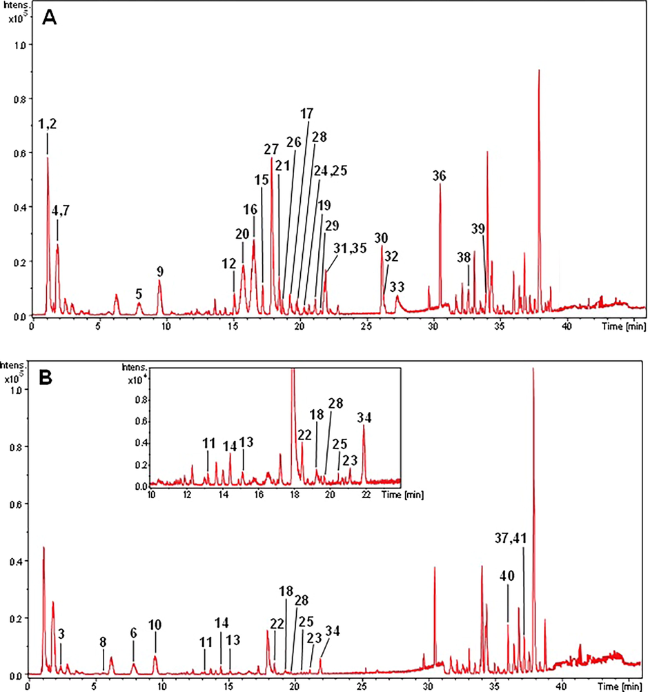 Chromatographic profile obtained by HPLC ESI-MS in positive ion mode. (A) Ethanolic extract of the peels of the fruits from U. guatterioides. (B) Ethanolic extract of the pulp of the fruits from U. guatterioides (See Table 1 for the analyte identification).