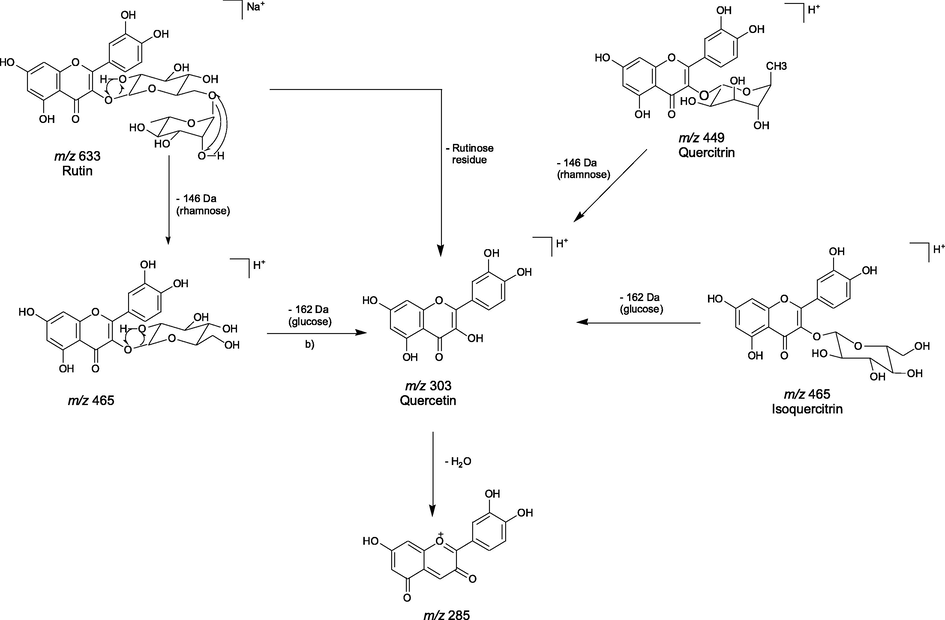 Proposed fragmentation mechanism for flavonoids derivatives: rutin, quercitrin, quercetin and isoquercitrin.