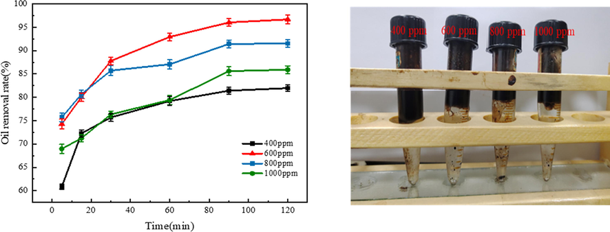 (a) Demulsification effect of Fe3O4@C-F at different dosages, (b) Demulsification effect of different doses of Fe3O4@C-F at 120 min.