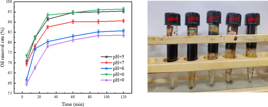 (a)The demulsification effect of demulsifier at different pH values, (b) Physical diagram of demulsification effect under different pH values in 120 min.