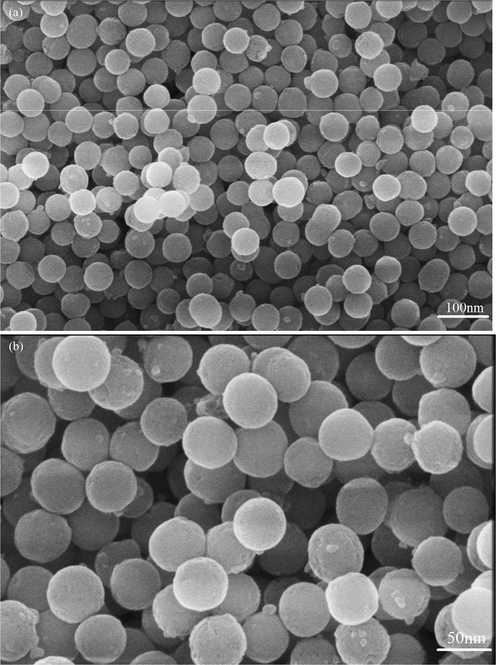 FE-SEM images of eggshell added zirconia (a) 5 g, (b) Magnified view at 5 g.