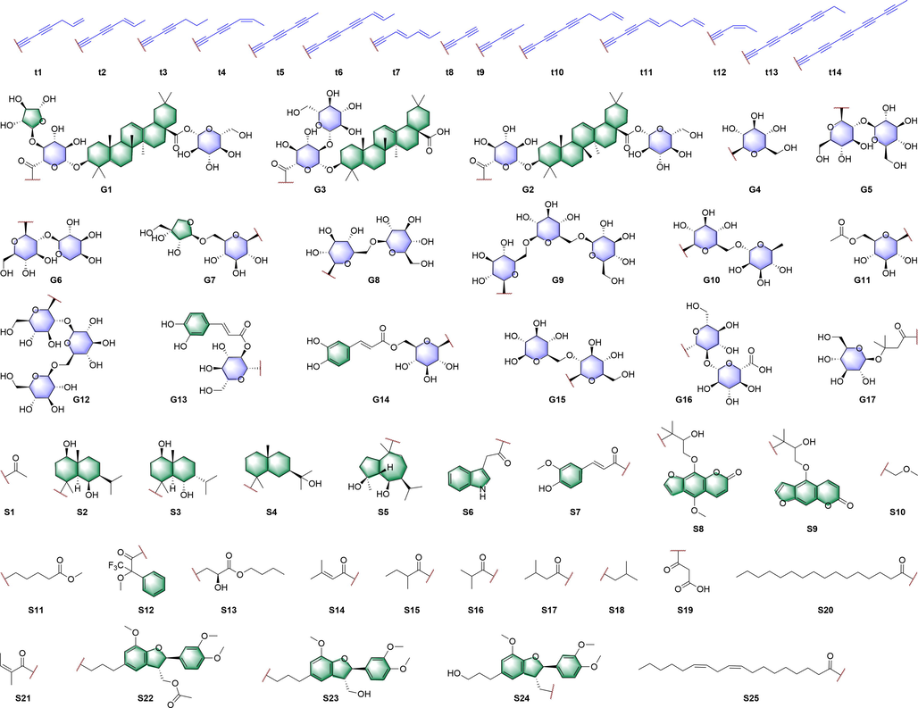 The acetylenic terminal types of polyacetylenic phytochemicals and the glycosyl, acyl and ether substituents.