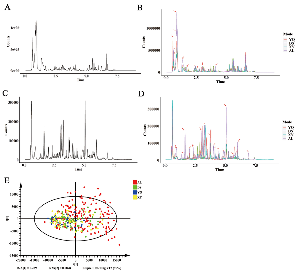 The overall profile of the secondary metabolites of D. officinale in the Anlongu differs markedly from that of the other three regions. (A) Positive ion BPC model total ion flow diagram of D. officinale. (B) Positive ion BPC model total ion flow map of four origins of D. officinale. (C) Total ion flow diagram of D. officinale in negative ion BPC mode. (D) Plot of total ion flow in D. officinale from four origins in the negative ion BPC model. (E) Principal component analysis of the differences in the overall profiles of secondary metabolites of D. officinale from different origins. AL represents D. officinale samples from Anlong, Guizhou, XY represents D. officinale samples from Xingyi, Guizhou, DS represents D. officinale samples from Dushan, Guizhou and YQ represents D. officinale samples from Yueqing, Zhejiang. n AL = 171, n DS = 71, n XY = 53, n YQ = 27.