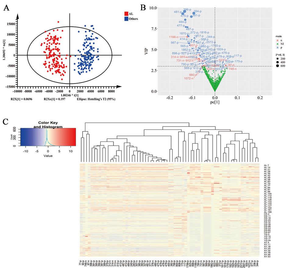 Screening the differential chemical components of AL D. officinale by OPLS-DA. (A) OPLS-DA analysis. (B) VIP map analysis of secondary metabolites. (C) The differences in the content of 67 different chemical constituents in D. officinale from different productions. AL represents D. officinale samples from Anlong, Guizhou, XY represents D. officinale samples from Xingyi, Guizhou, DS represents D. officinale samples from Dushan, Guizhou and YQ represents D. officinale samples from Yueqing, Zhejiang, the others group represents all samples of D. officinale from the three production areas of Xingyi, Guizhou, Dushan, Guizhou and Yueqing, Zhejiang. n AL = 171, n DS = 71, n XY = 53, n YQ = 27.