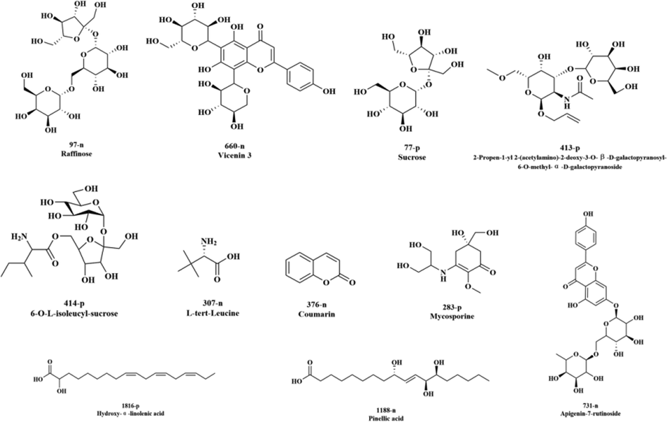 Structure of the differential chemical composition of D. officinale.