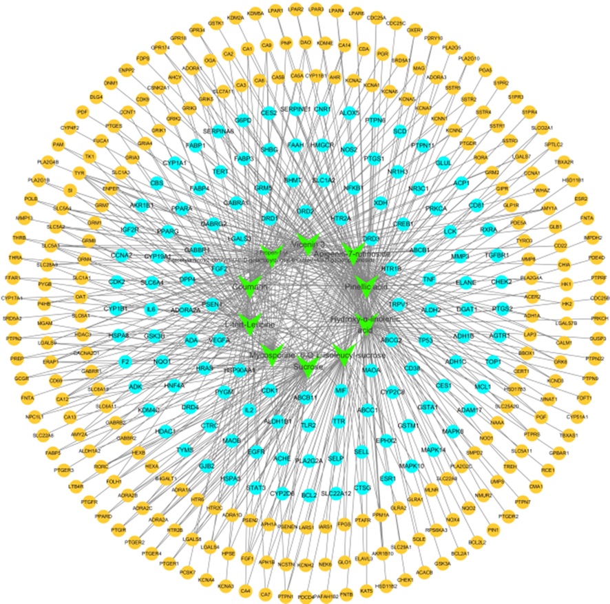 Potential targets of differential chemical action of D. officinale associated with acute alcoholic liver injury. The green diamond nodes represent differential compounds in D. officinale, the blue circular nodes represent disease targets related to acute alcoholic liver injury, the orange circular nodes represent other disease targets, and the lines between the nodes represent potential relationships of compounds to the targets.